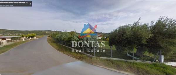 תמונת קסנדרה למכירה