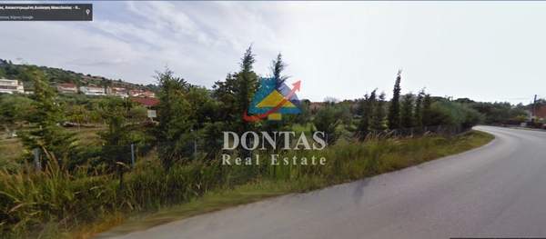 תמונת קסנדרה למכירה