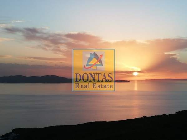 תמונת טינוס למכירה