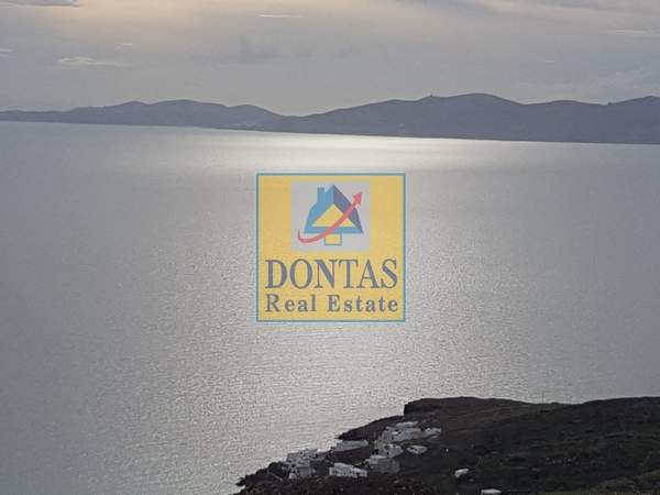 תמונת טינוס למכירה