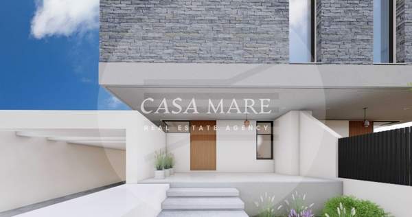 תמונת פוטאמיה למכירה