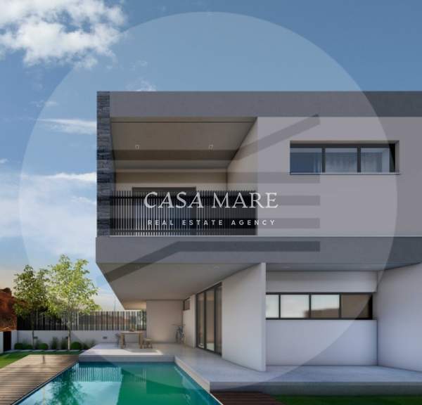 תמונת פוטאמיה למכירה