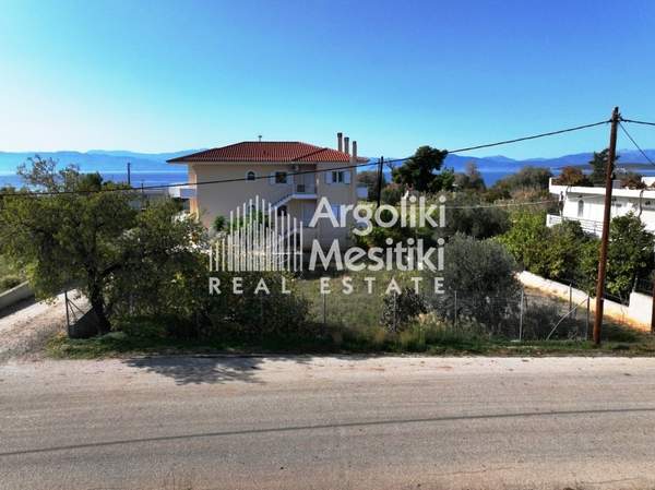 תמונת נאפפליו, פלופונס למכירה