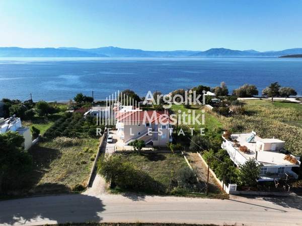 תמונת נאפפליו, פלופונס למכירה