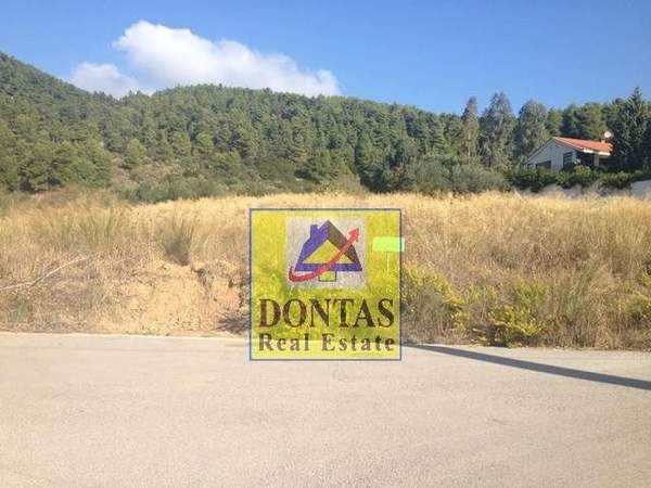 תמונת אורופוס למכירה