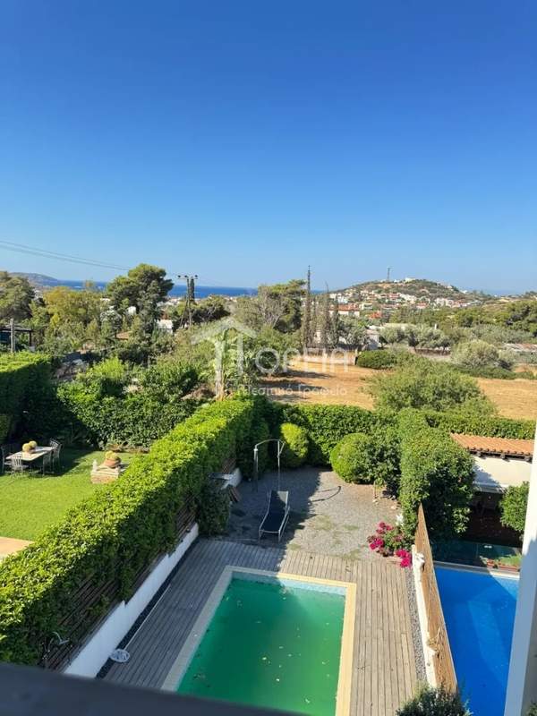 תמונת סרוניקוס, אתונה למכירה (0)