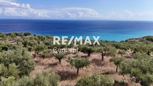 תמונת זקינתוס למכירה (1)