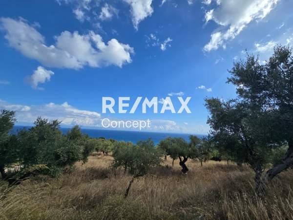 תמונת זקינתוס למכירה (0)