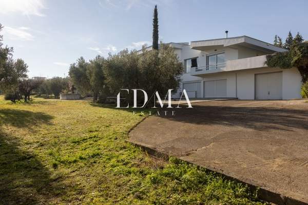 תמונת תרמי, סלוניקי למכירה (0)