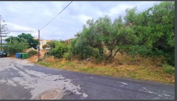 תמונת קואנומפידיאנה, חאניה למכירה (1)