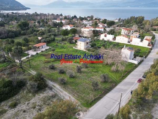 תמונת איגאליאה, פלופונס למכירה