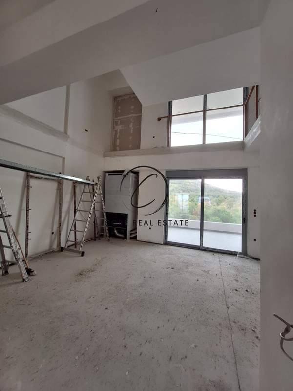 תמונת נאה איונה למכירה (1)