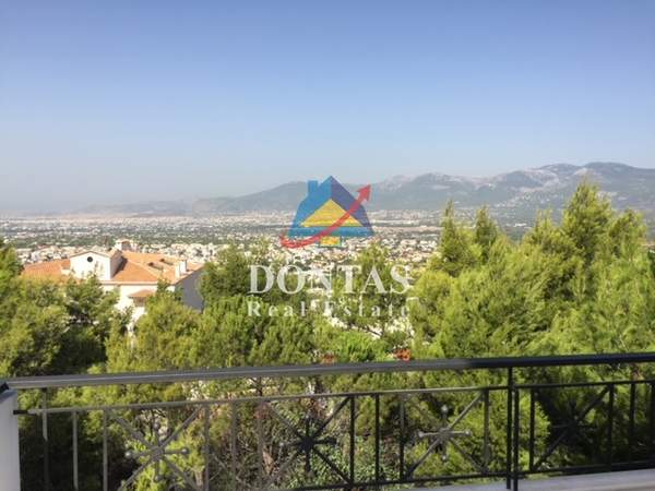 תמונת קיפיסיה, אתונה למכירה (0)