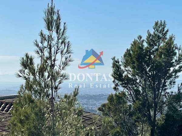 תמונת קיפיסיה, אתונה למכירה (1)