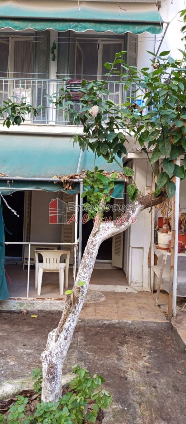 תמונת גרוואה, אתונה למכירה (0)