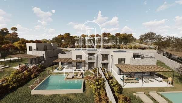 תמונת קסנדרה למכירה (0)