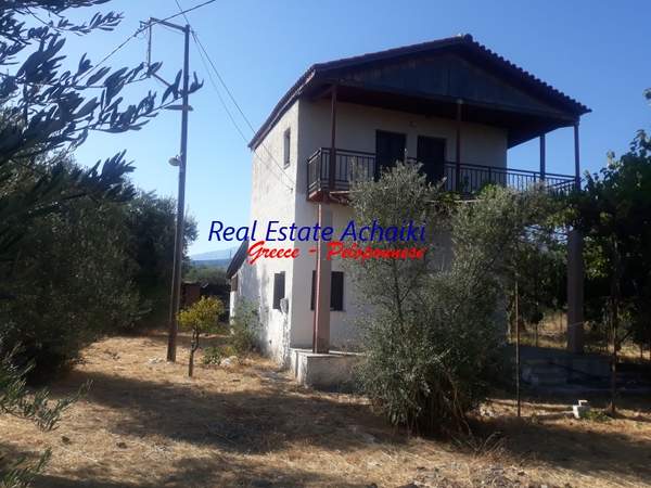 תמונת איגאליאה למכירה (0)