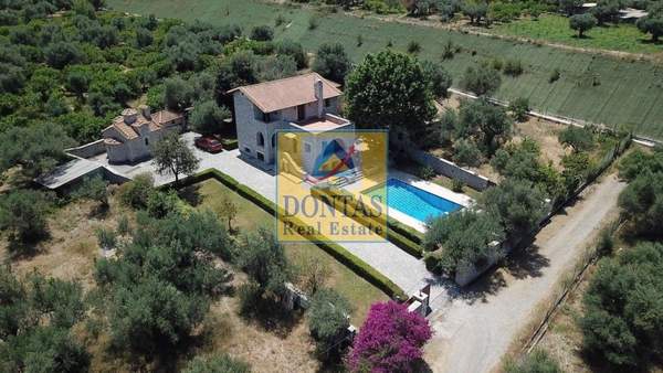 תמונת איגאליאה למכירה (1)