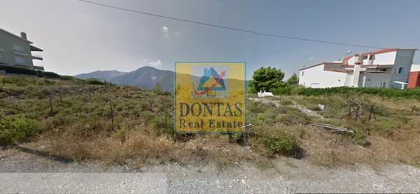 תמונת דיוניסוס למכירה (0)