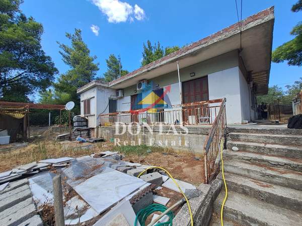 תמונת מליסייה, אתונה למכירה (0)