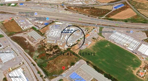 תמונת טנאגרה למכירה (0)