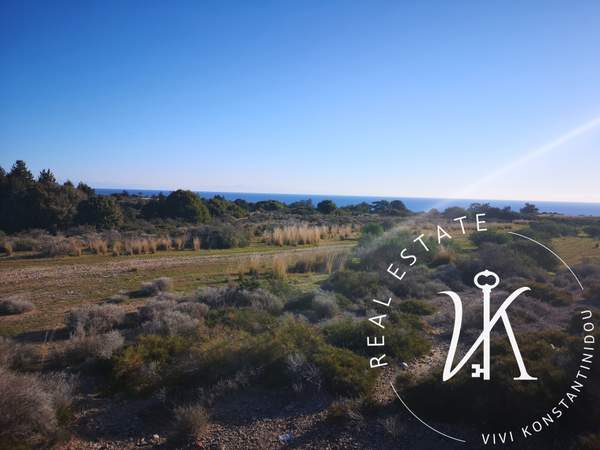 תמונת רודוס למכירה (0)