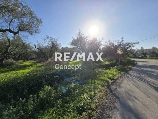 תמונת זקינתוס למכירה (1)