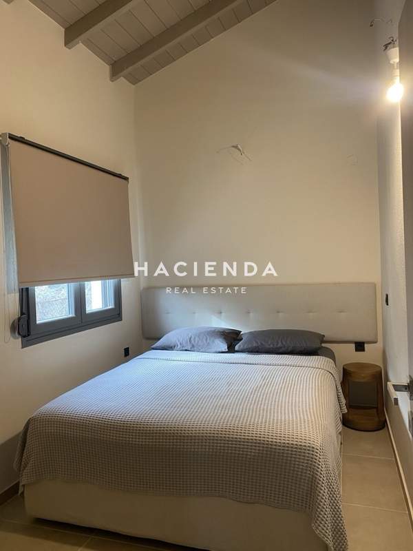 תמונת נאה פרופונדיטה למכירה