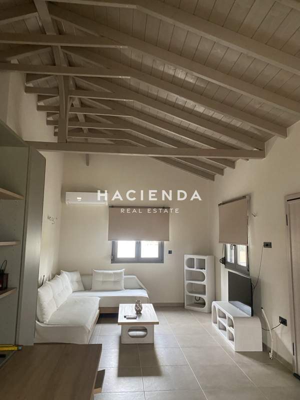 תמונת נאה פרופונדיטה למכירה