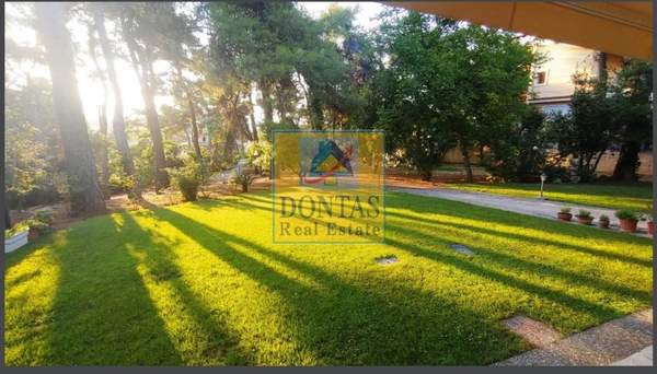 תמונת דיוניסוס למכירה (1)