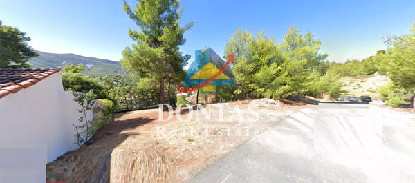 תמונת דיוניסוס למכירה (1)