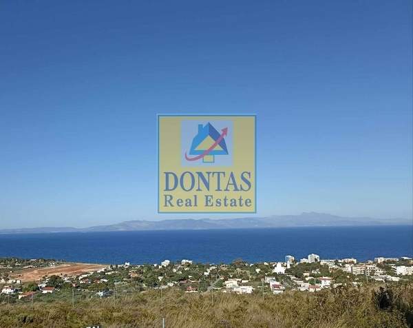 תמונת מרתון למכירה (0)