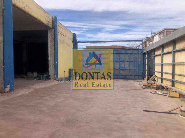 תמונת טברוס למכירה (0)