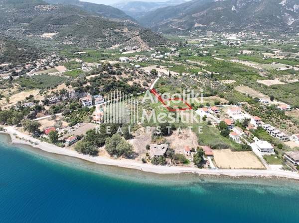 תמונת טריזיניה-מתאנה למכירה (0)