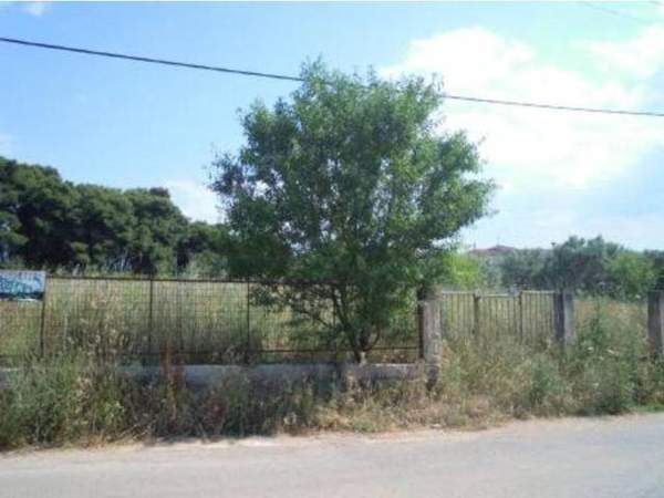 תמונת דיוניסוס, אתונה למכירה (1)