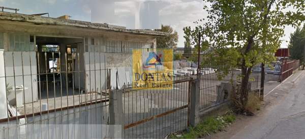 תמונת מטמורפוסי למכירה (0)