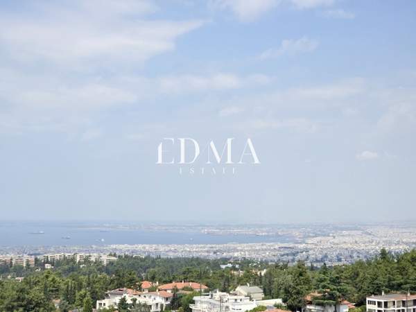 תמונת פאיליה - חורטיאטיס למכירה (0)