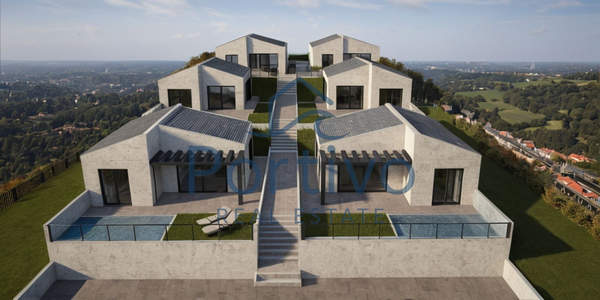 תמונת פרבזה, אפירוס למכירה