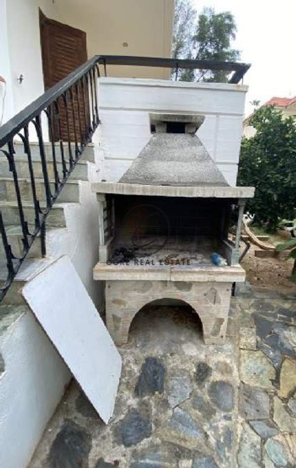 תמונת וולה, וארי - וולה -ווליאגמני למכירה (1)