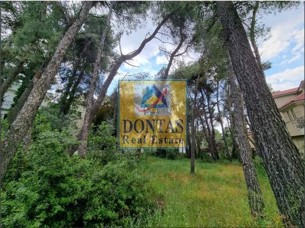 תמונת דיוניסוס למכירה (0)