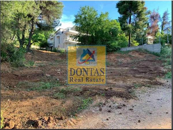 תמונת דיוניסוס, אתונה למכירה (0)