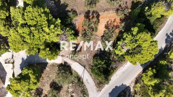 תמונת זקינתוס למכירה (1)