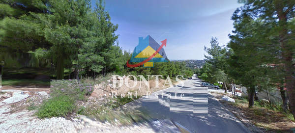 תמונת דיוניסוס למכירה (0)