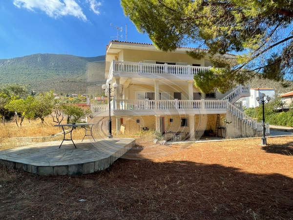 תמונת כלקיס (דרום) למכירה (0)