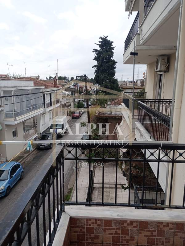 תמונת תרמיקוס למכירה (0)