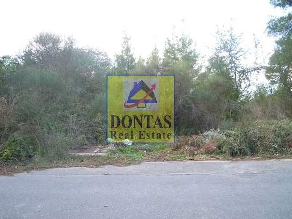 תמונת דיוניסוס למכירה (1)