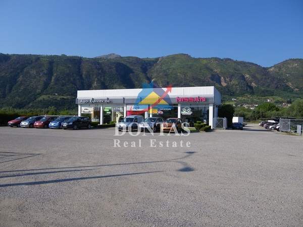 תמונת איגאליאה, פלופונס למכירה (0)