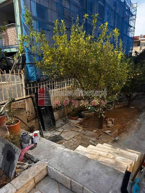 תמונת זוגרפו למכירה (0)