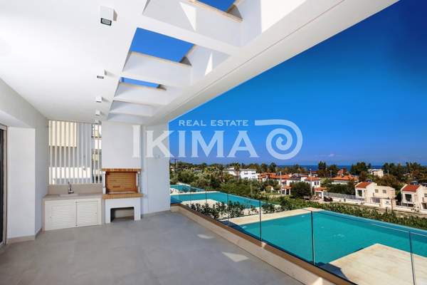 תמונת קסנדרה, כלקידיקי למכירה (1)