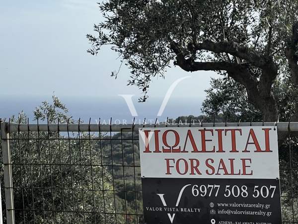 תמונת פילוס ונסטור, פלופונס למכירה